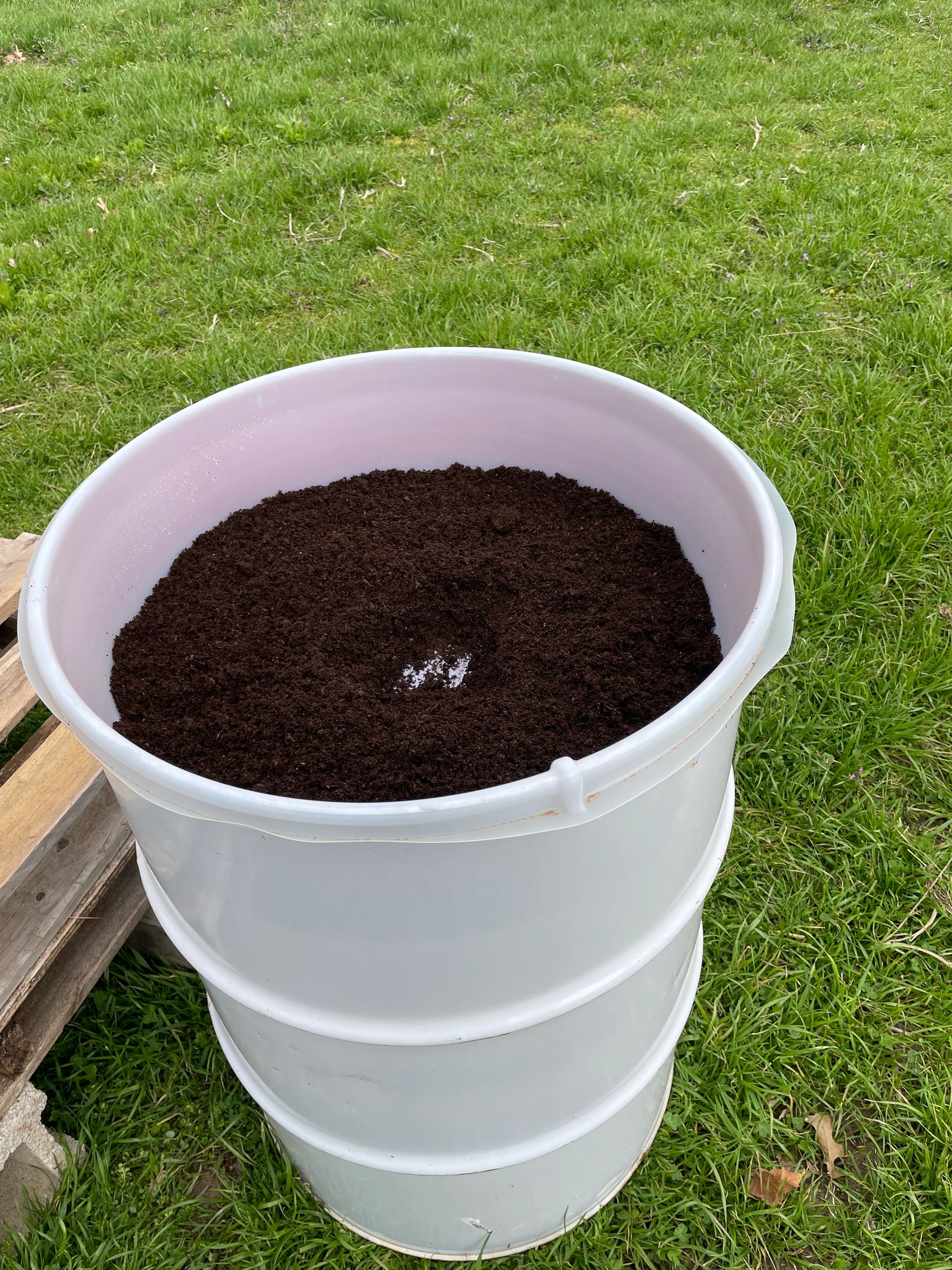 Extracting 5 pounds of compost